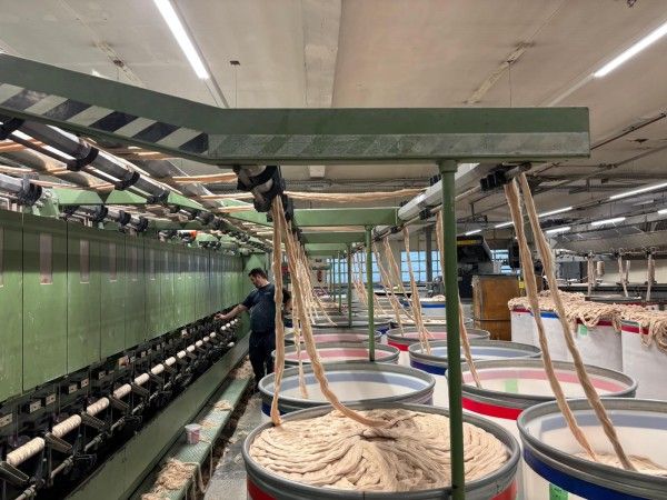 Sant’Andrea RF2A Vertical finisher