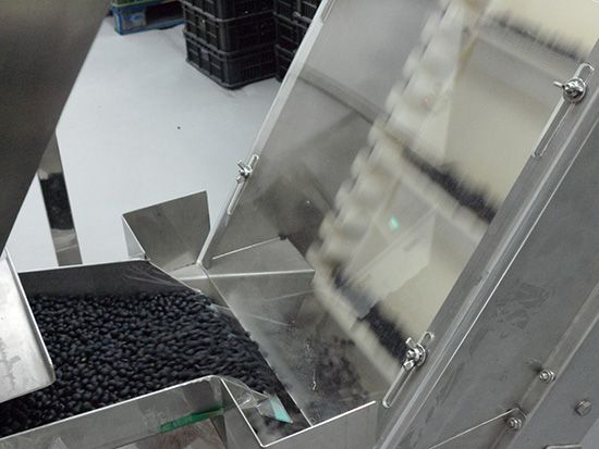 Filling Machine with multi-head weigher