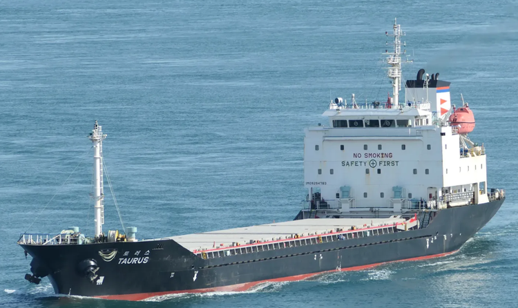 21ST CENTURY TAURUS ABT 6729 DWT ON 6.75 M DRAFT