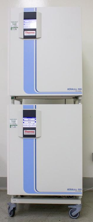 Thermo HERAcell 150i Double Stack 150L Dual Chamber CO2 Incubator