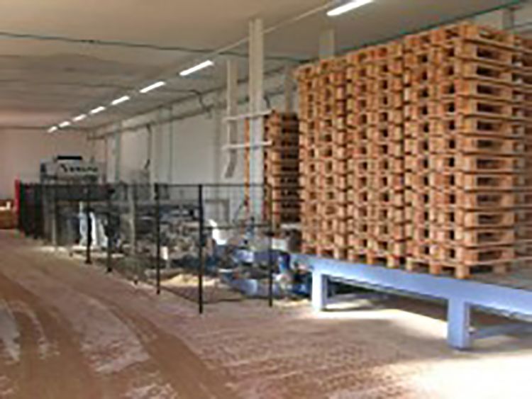 Delta CHT Complete continuous line for pallet production
