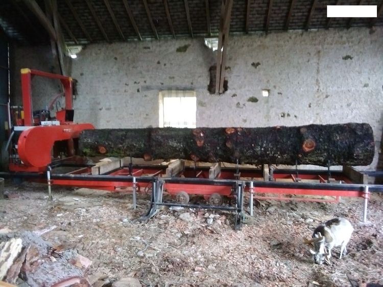 Mobile log saw