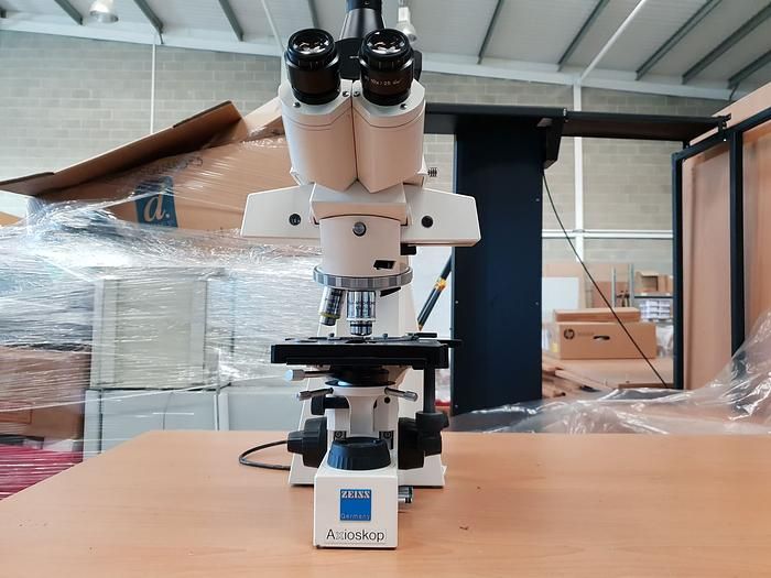 ZEISS Axioskop Microscope