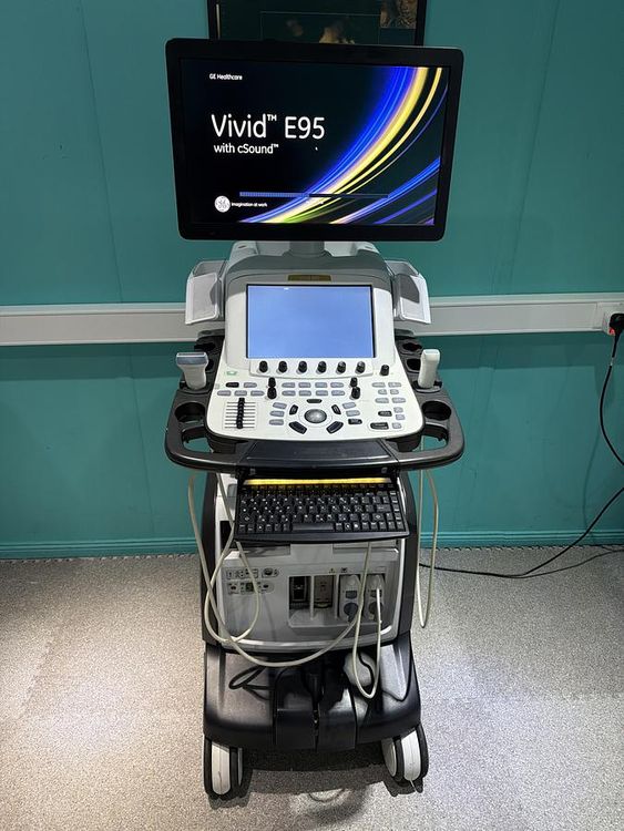 GE Vivid E95 v202