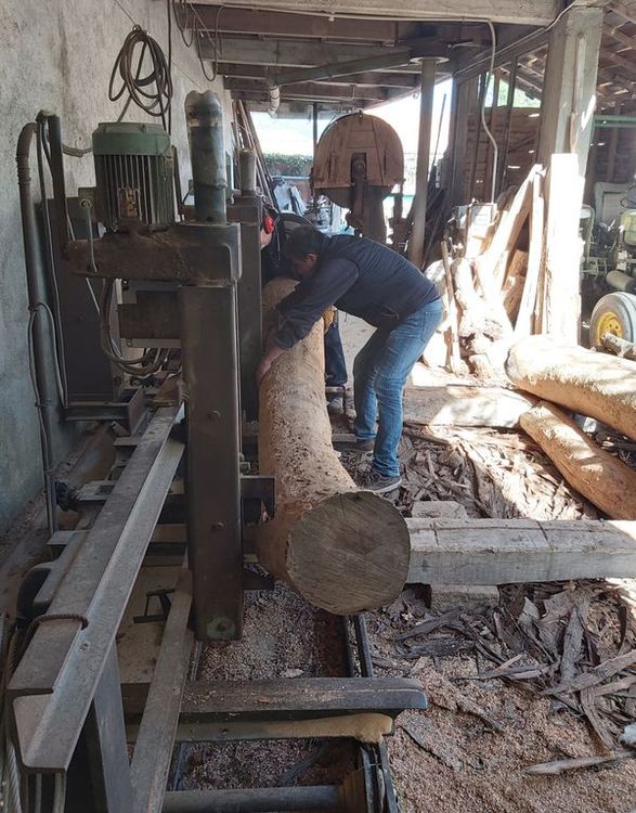 E.Gillet Long timber sawing unit