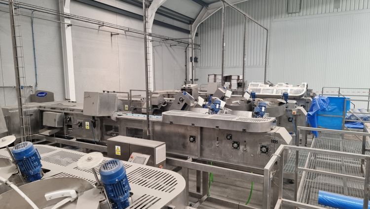 Seditec MCF-500 High capacity automatic strawberry capper