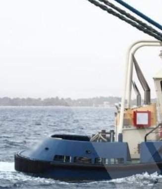 Twin Screw Tug Deadweight: 30 t