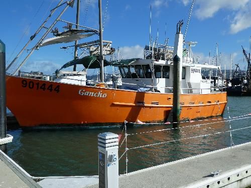 Fishing Vessel (Liners - Bottom & Surface, Lobster / Potter, Netter, Troller)  Fuel Capacity: 8000 litres (4 tanks)