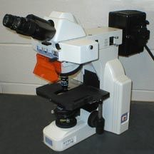 Nikon Eclipse E400, Microscope