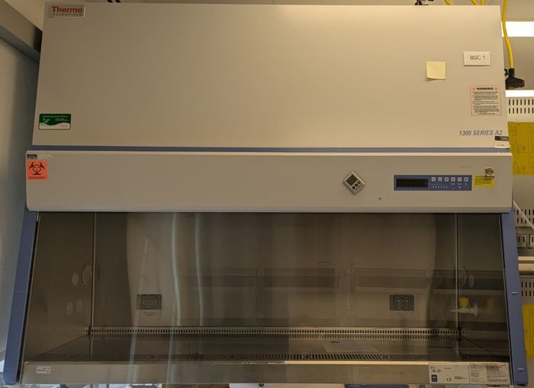Thermo Scientific 1377