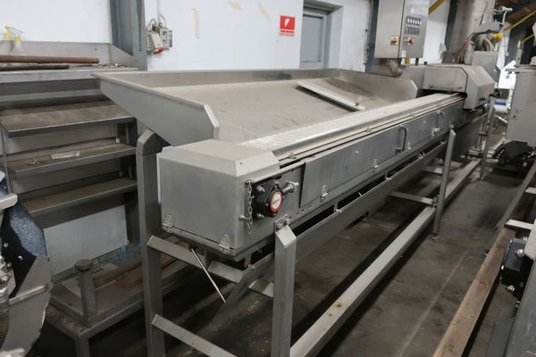 Cabinplant Nobbing Machine for Sardines
