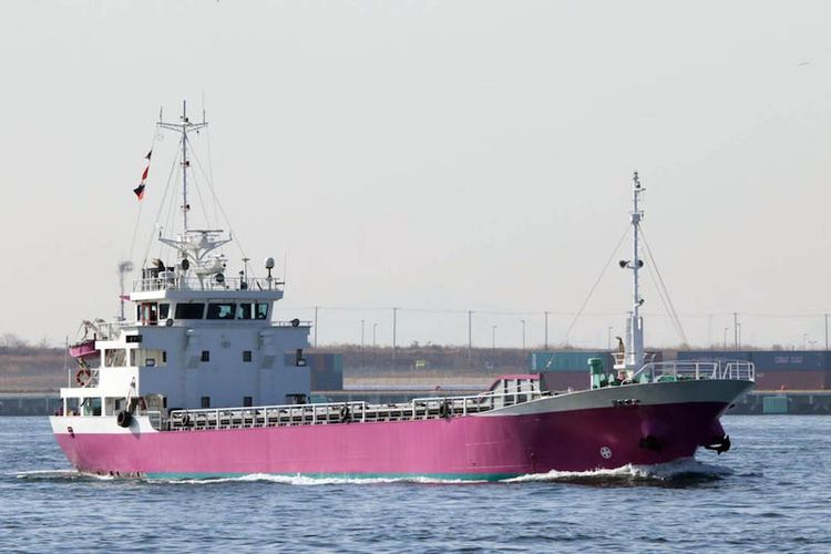 Taiyo Zosen GENERAL CARGO SHIP (BOX HOLD) ABT 710DWT
