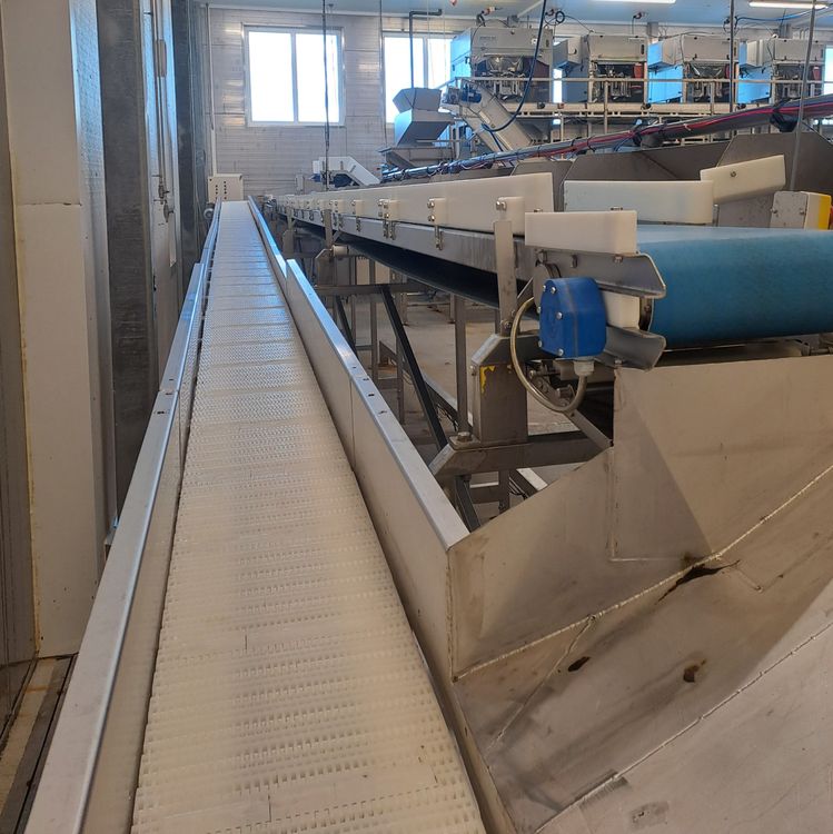 Marel DWU Grading System 6 ports