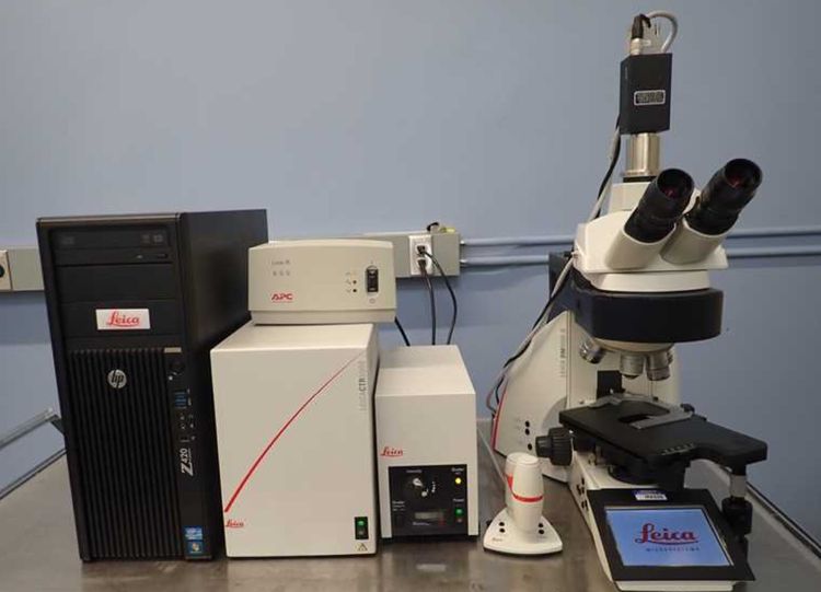 Leica DM5000 B, Upright Phase Contrast Fluorescence Motorized