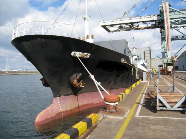 GENERAL CARGO SHIP GRT: 499