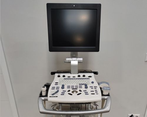 GE Vivid S5