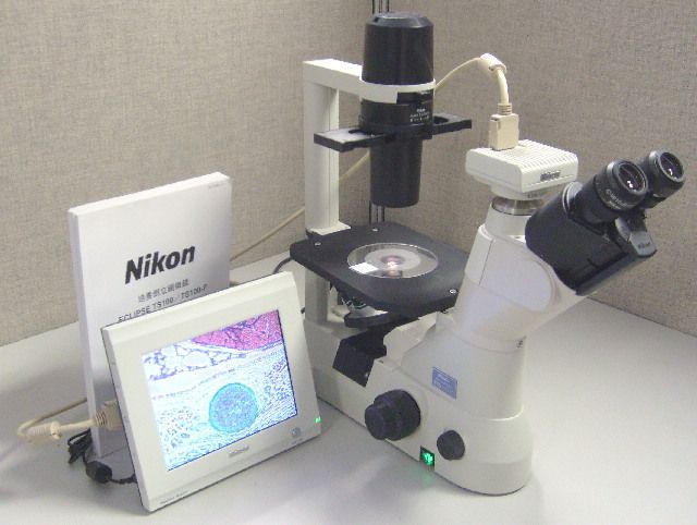 Nikon Eclipse TS100-F Inverted Microscope