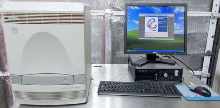 Applied Biosystems 7300