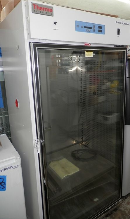 Thermo Scientific Forma 3950 Large-Capacity CO2 Incubator with Three Heavy-Duty Reinforced Shelves