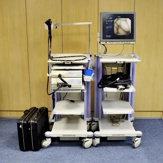 Olympus Digestive Endoscopy Column Series 260