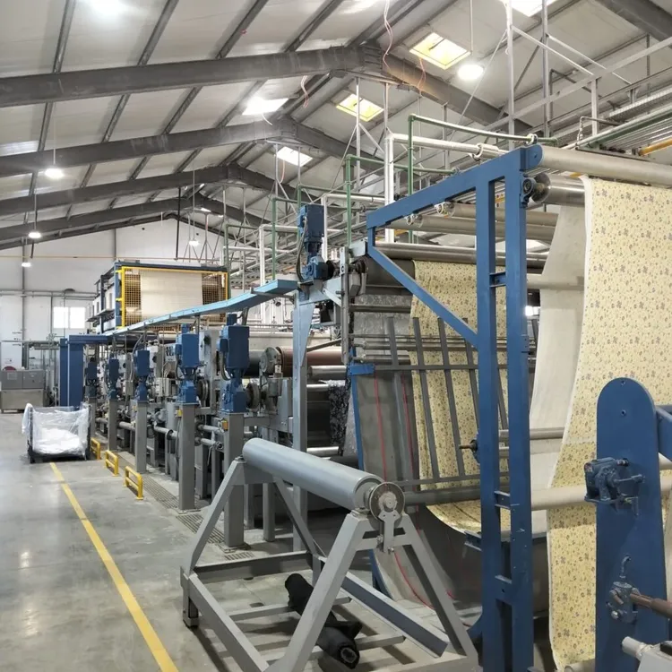 Mcs Continuous washing line