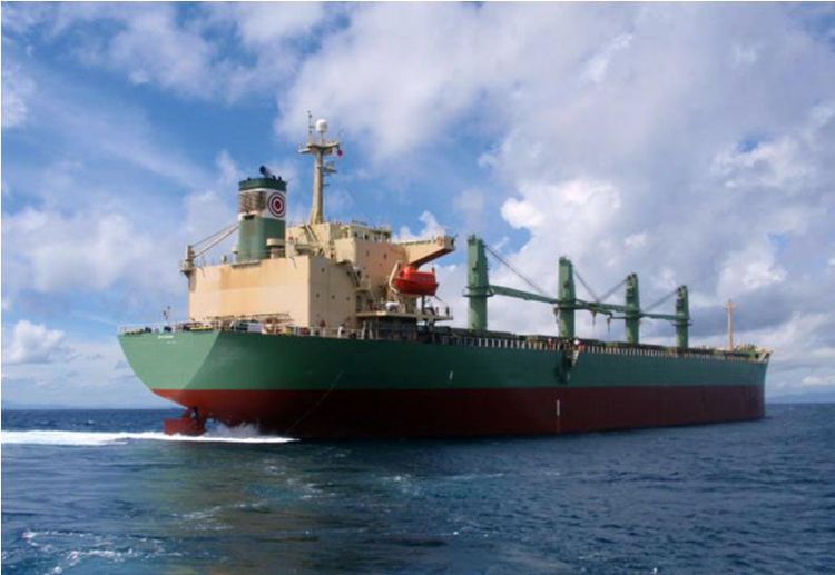 SILKY OCEAN Bulk Carrier 45,665 MTDW ON 11.62M