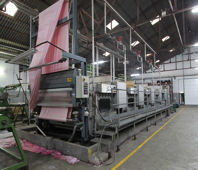 Arioli V21 continuous washing machine