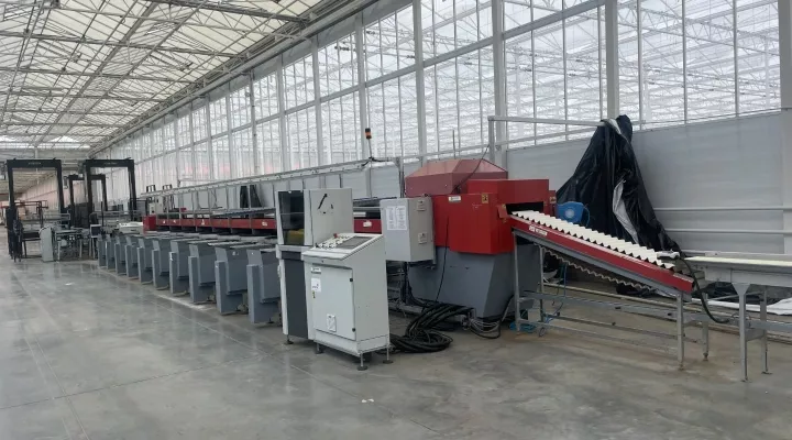 Aweta GSM-10 Cucumber sorting machine