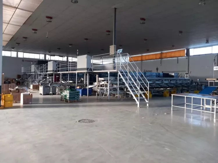 Sorma Grapes packing line