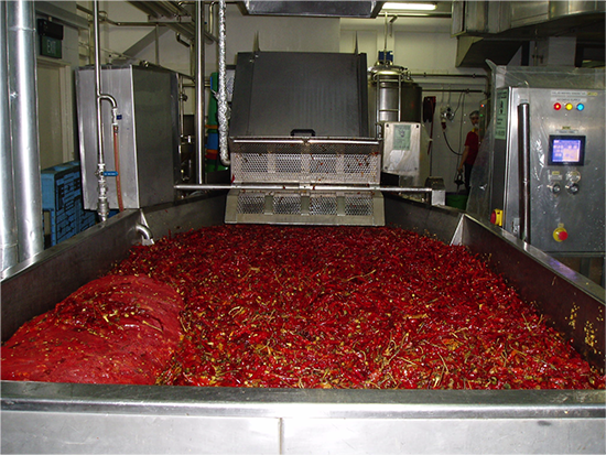 Dried Chillies Washer