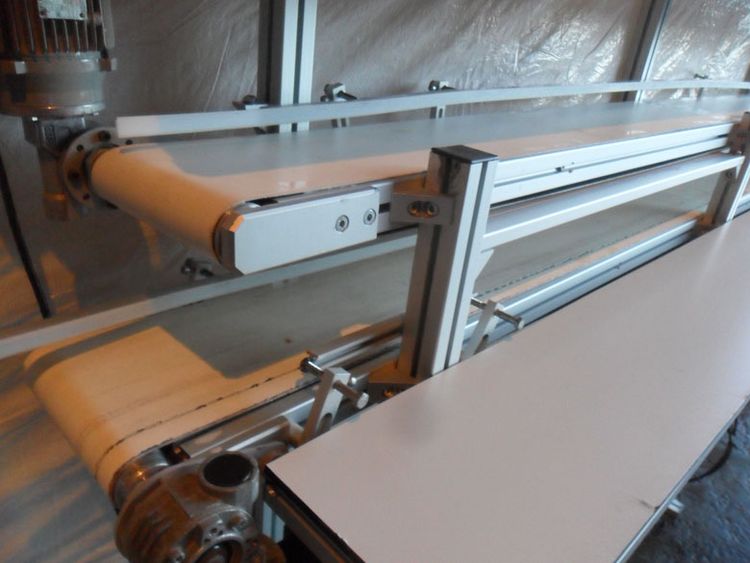 Others Twin packing conveyor