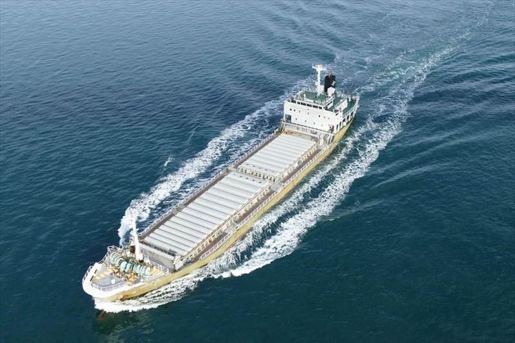 Hitachi BULK CARRIER (HOUBLE HULL/LIMESTONE CARRIER) ABT 6,100DWT