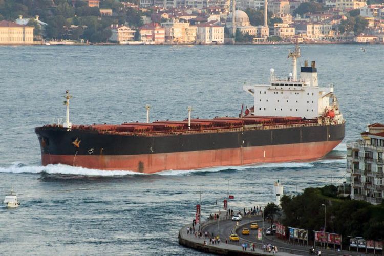 Hyundai Heavy Industries (HHI) PANAMAX BULK CARRIER LOA 224.97 / LPP 218.69M BREADTH 32.25M / DEPTH 19.03M