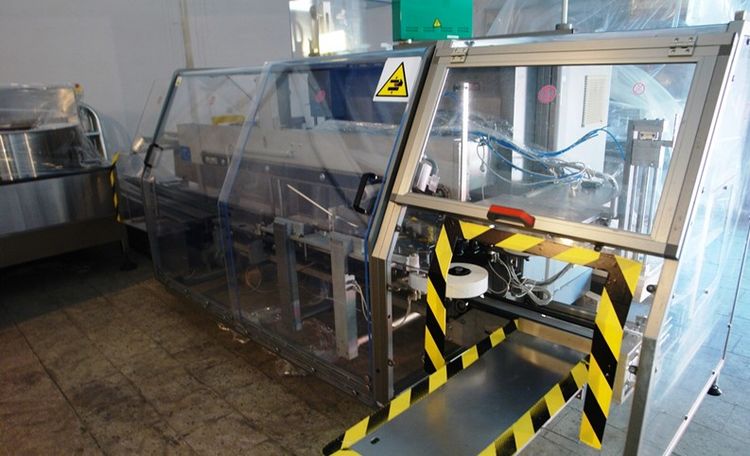 MARCHESINI MC820, Case Packer