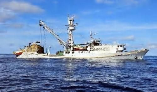 FONG KUO SHIPBUILDING Freezing capacity- 250 MT