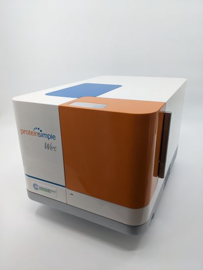 WES Automated Western Blot System Imager