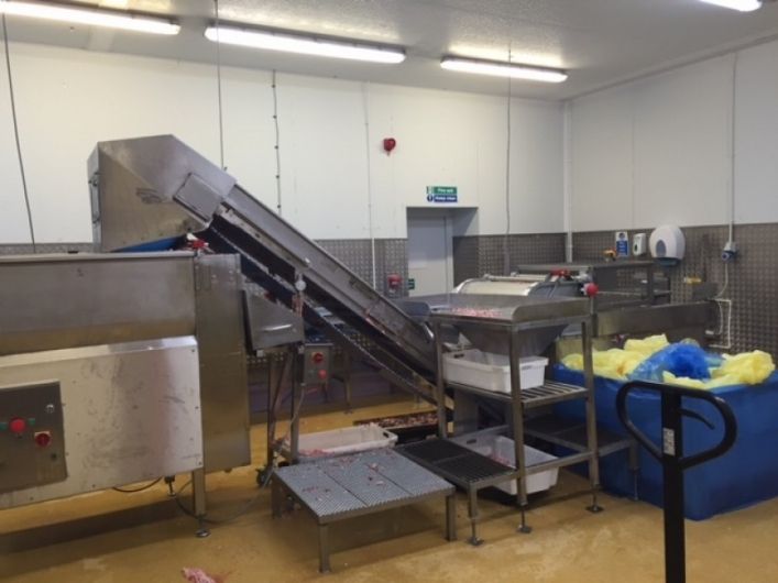 Mincing Line for 1000kg/hour of Minced Meat