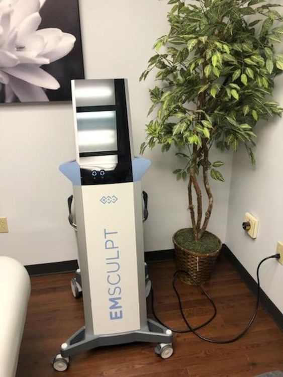 BTL Aesthetics Emsculpt Systems Dermatology