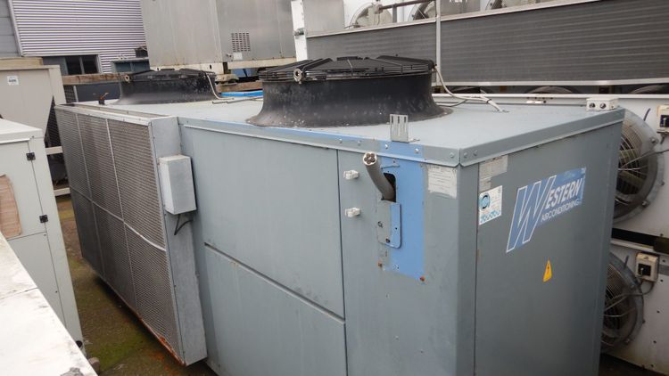 Bluebox ZETA ECHOS/FCLN 13.2ST 1PS