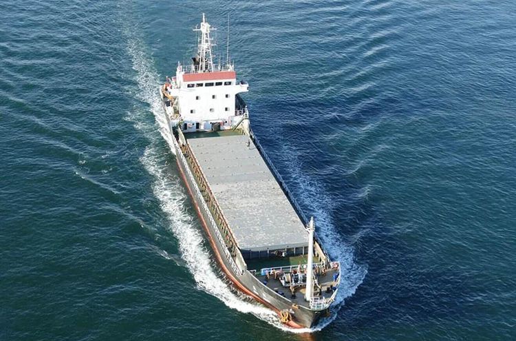 Fujian FUJIAN DONGNAN SHUOYARD TBN Capacity 	2850 DWT