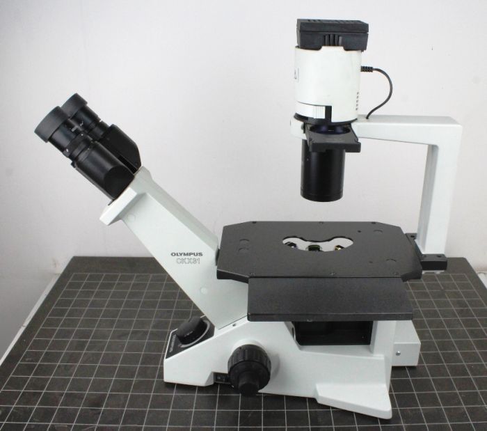 Olympus CKX31 Inverted Microscope