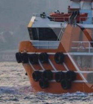 Torlak MULTIROLE DIVE SUPPORT VESSEL  Gross Tonnage: 185