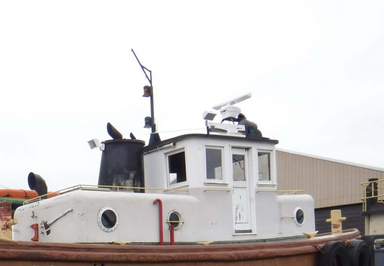 Bow Tug Boat 45′ long