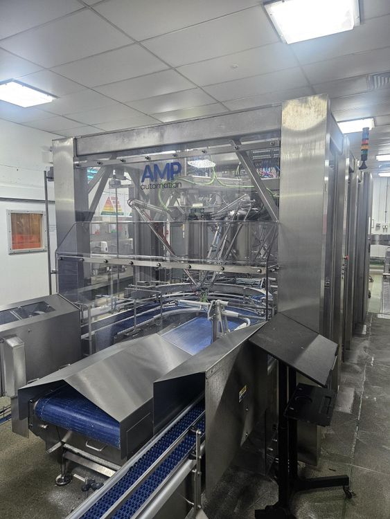 AMP IPAX Pick and Place Food Packer
