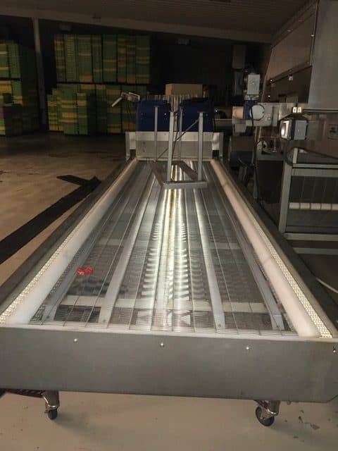 Blueberry inspection conveyor