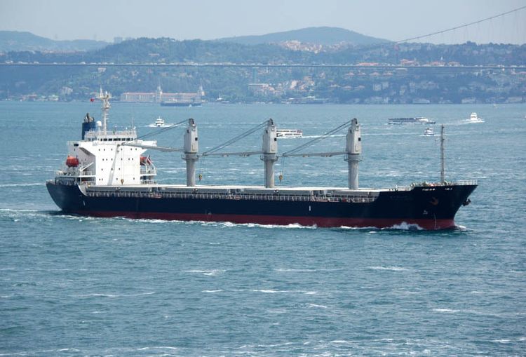 Imabari BULK CARRIER  (SINGLE DECK, BOX SHAPED, BULK CARRIER / ENGINE+BRIDGE AFT) ABT 25,000DWT