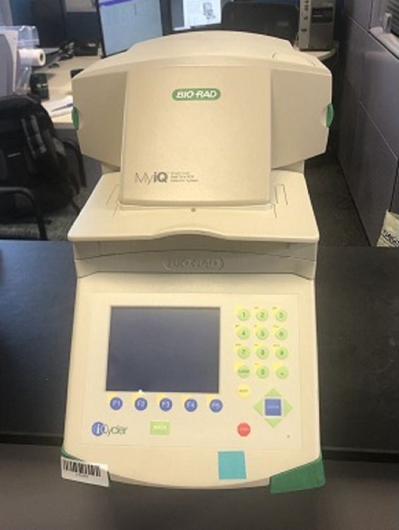 Bio-Rad iCycler MyIQ