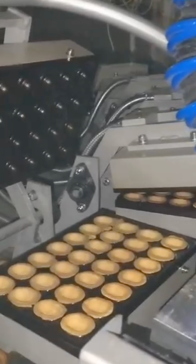 Other Roundloaf Automated complex for baking walnut-shaped cookies with filling «Roundloaf»