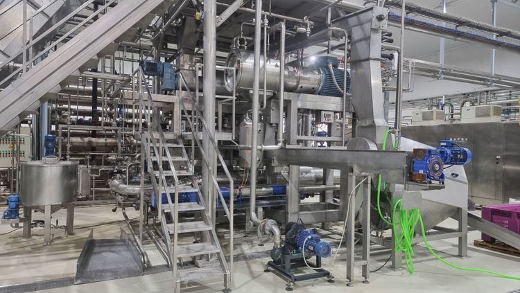 Manzini Puree Processing Line for Fruits with Stone