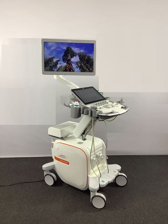 Siemens Acuson 10L4